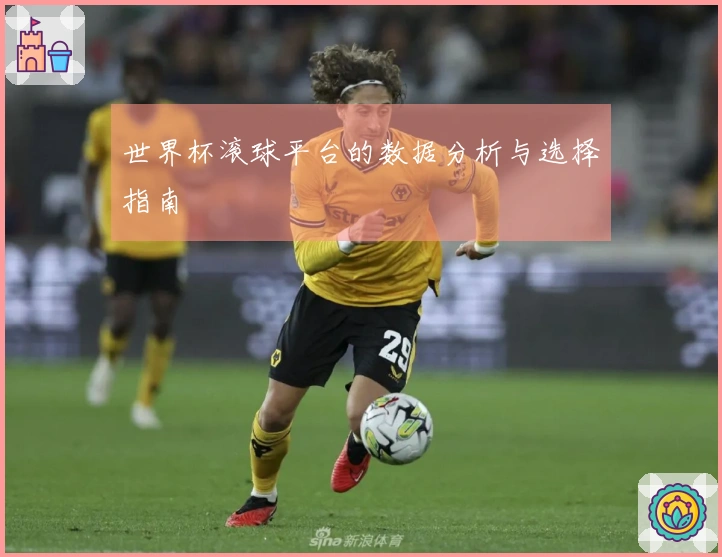 世界杯滚球平台的数据分析与选择指南