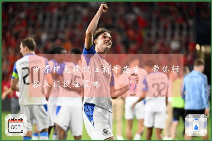 世界杯竞猜投注新手指南，带你轻松入门投注策略