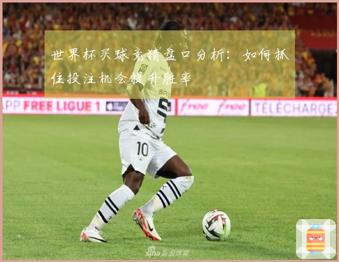 世界杯买球竞猜盘口分析：如何抓住投注机会提升胜率