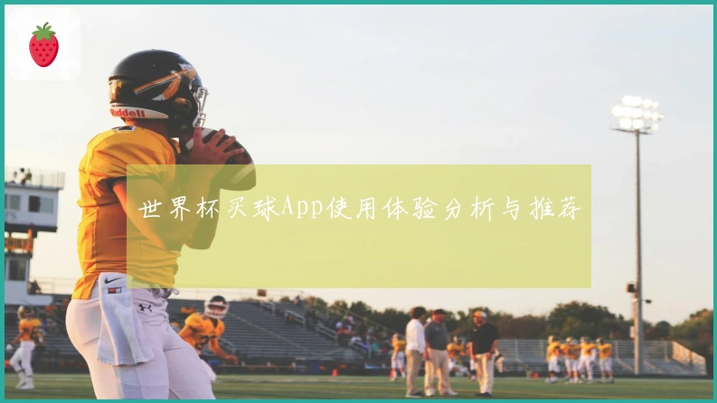 世界杯买球App使用体验分析与推荐