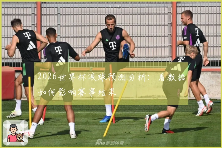 2026世界杯滚球预测分析：看数据如何影响赛事结果