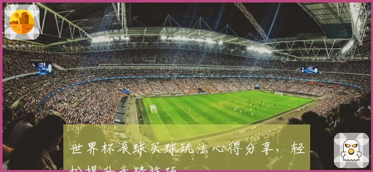 世界杯滚球买球玩法心得分享，轻松提升竞猜技巧