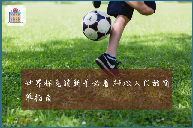 世界杯竞猜新手必看 轻松入门的简单指南