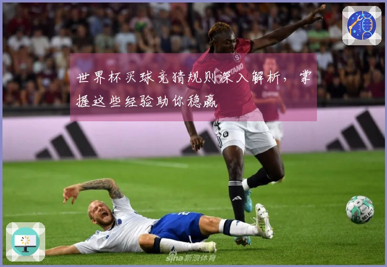 世界杯买球竞猜规则深入解析，掌握这些经验助你稳赢