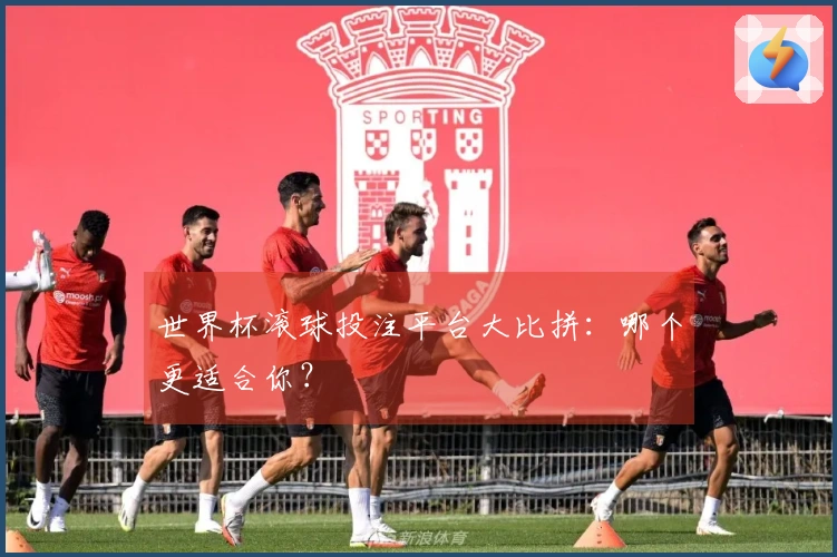 世界杯滚球投注平台大比拼：哪个更适合你？
