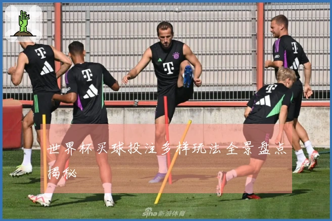 世界杯买球投注多样玩法全景盘点揭秘