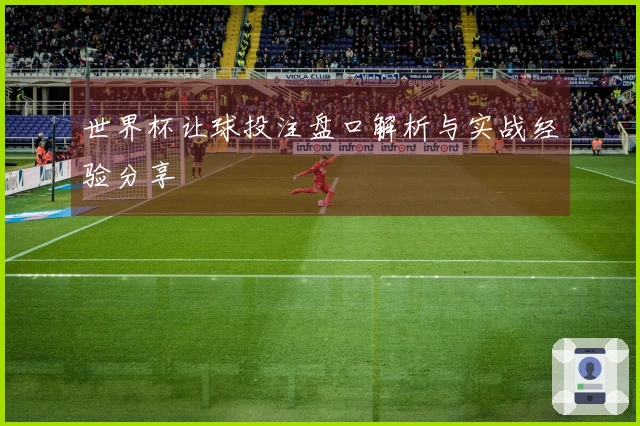 世界杯让球投注盘口解析与实战经验分享