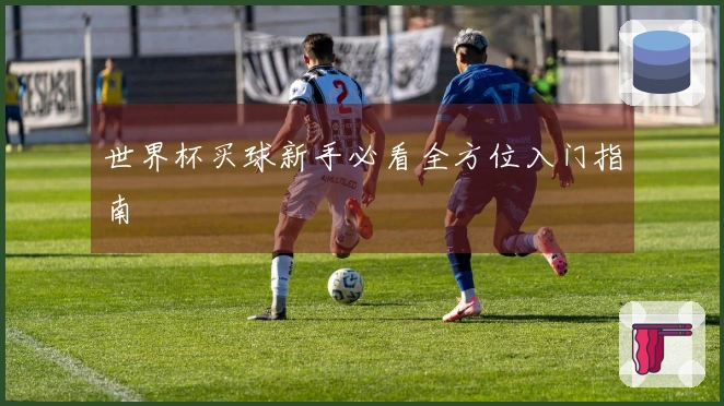 世界杯买球新手必看全方位入门指南