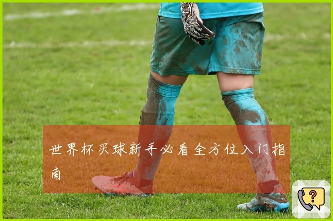 世界杯买球新手必看全方位入门指南