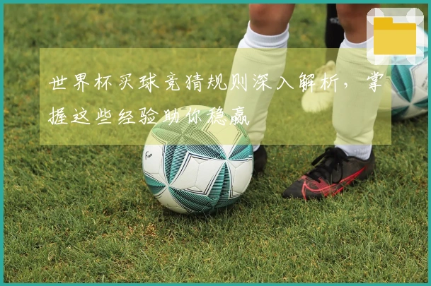 世界杯买球竞猜规则深入解析，掌握这些经验助你稳赢