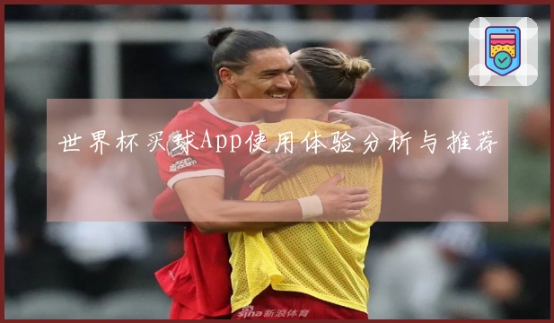 世界杯买球App使用体验分析与推荐