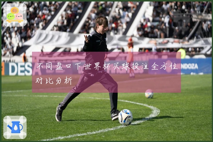不同盘口下世界杯买球投注全方位对比分析