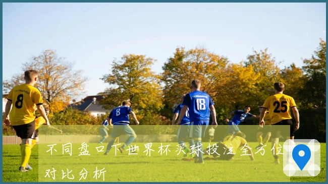 不同盘口下世界杯买球投注全方位对比分析