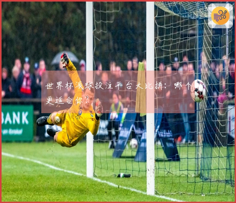 世界杯滚球投注平台大比拼：哪个更适合你？